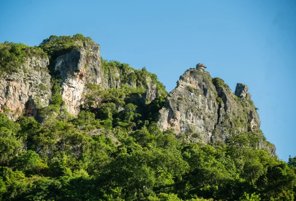 Circuit A (35)-Montagne-des-Français-Anosiravo