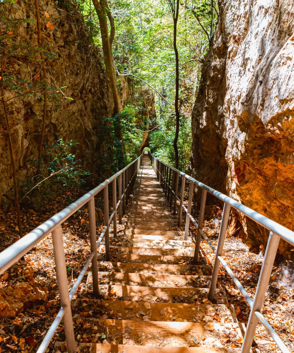 Circuit_B_escalier (1)-Montagne-de-Français-Anosiravo